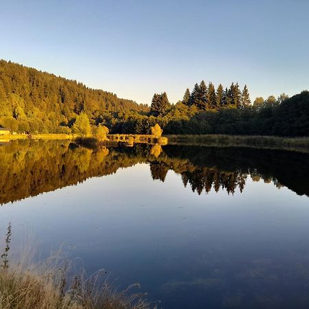 Apartamenty Pod Jagodna Spalona Bagian luar foto